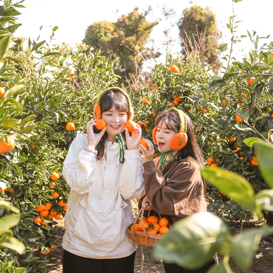 트로이테마농원 감귤체험+산방산탄산온천